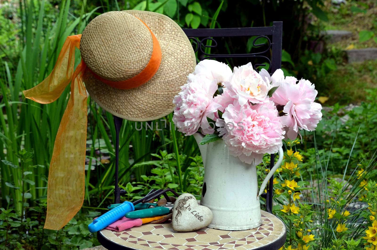 pink peonies in the garden