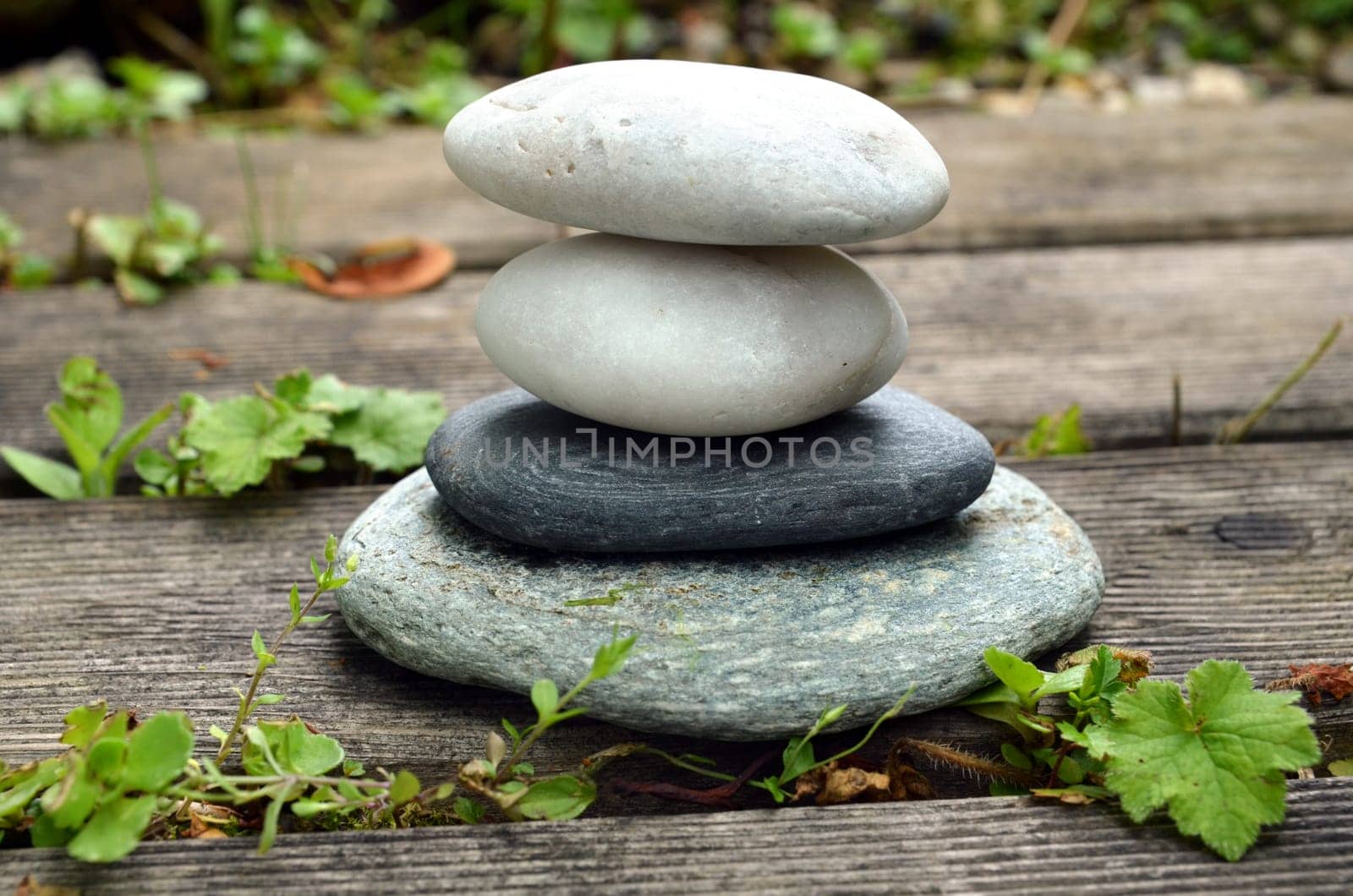 Stones Wellness Garden