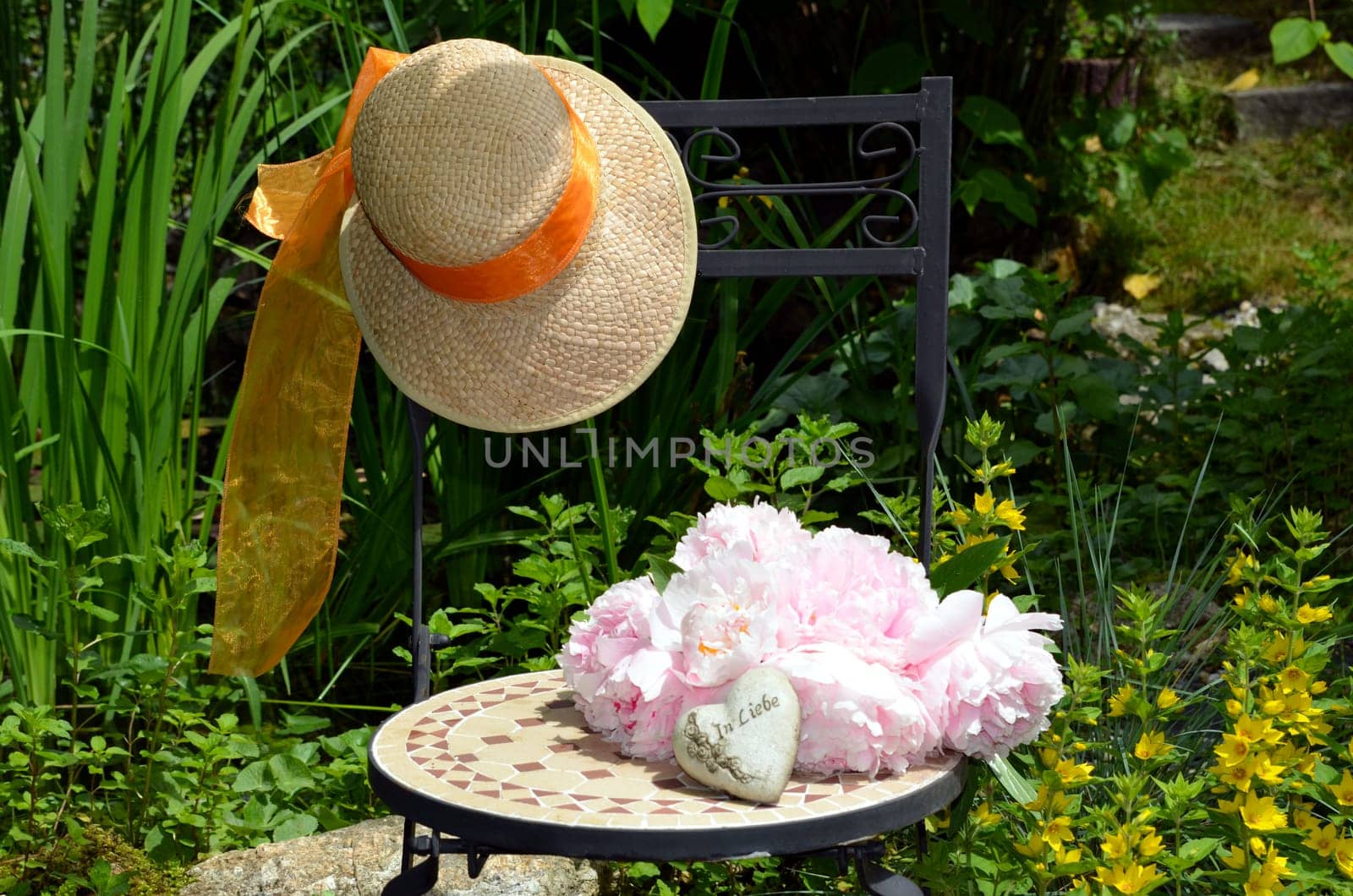 pink peonies in the garden