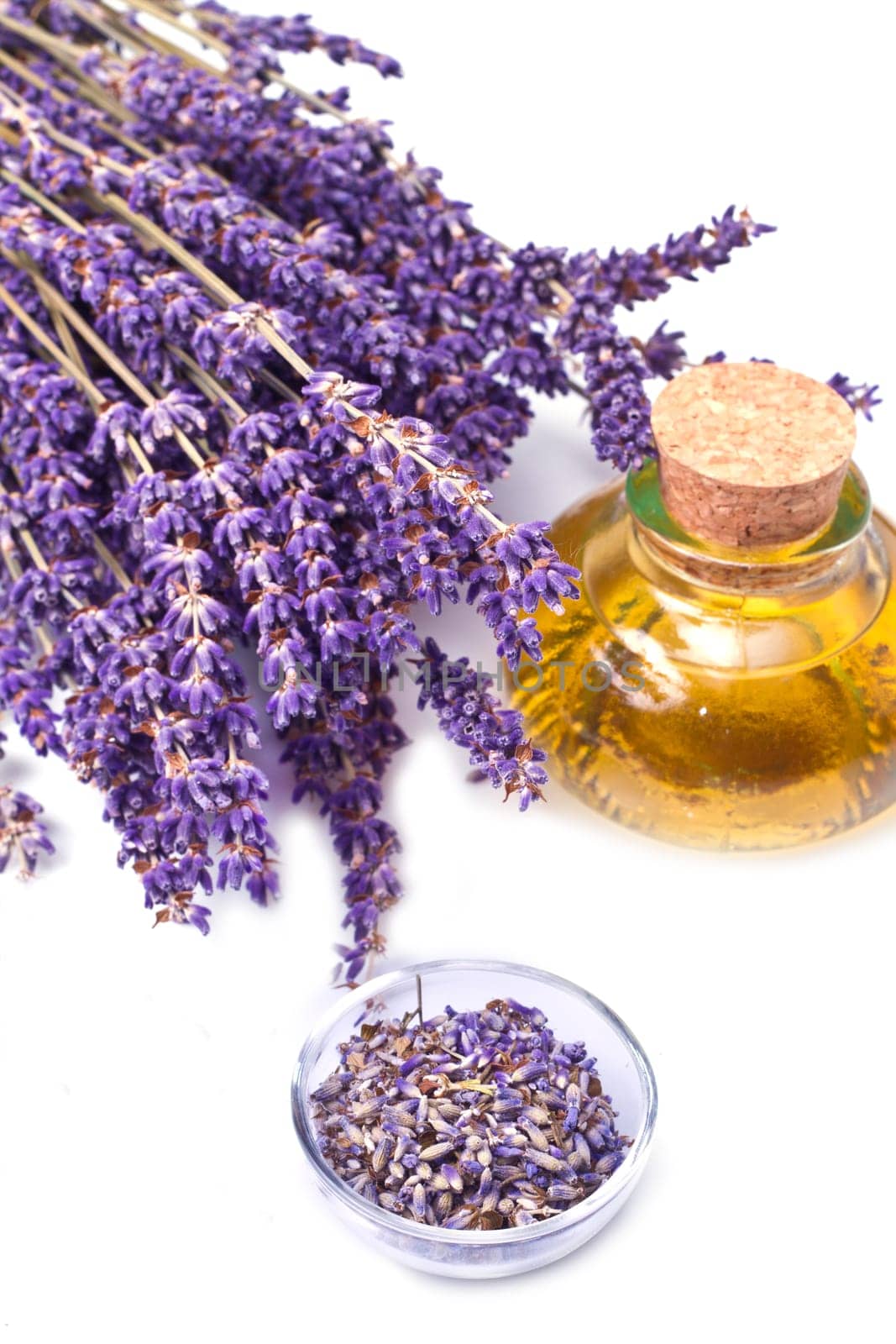 lavender flowers with oil  isolated on white background
