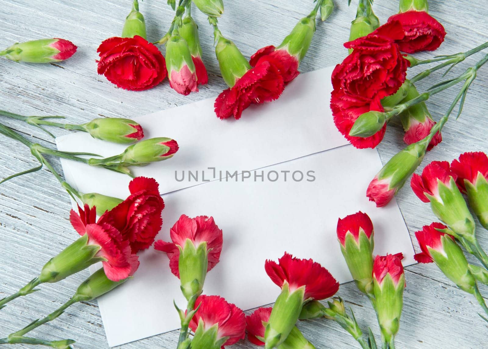 Spring letter and red carnation