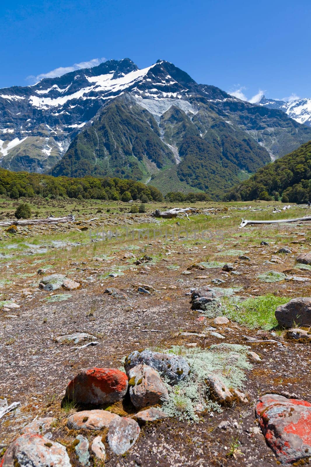 View of the snow capped mountains from the New Zealand Wilkin river valley.