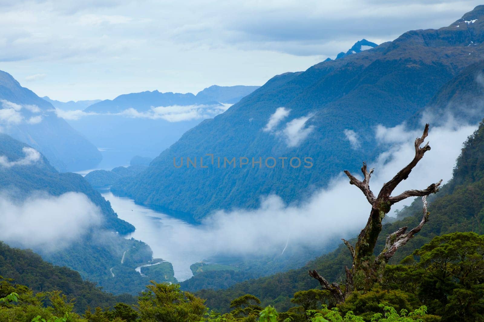 Scenic overlook of Doubtful Sound in New Zealand