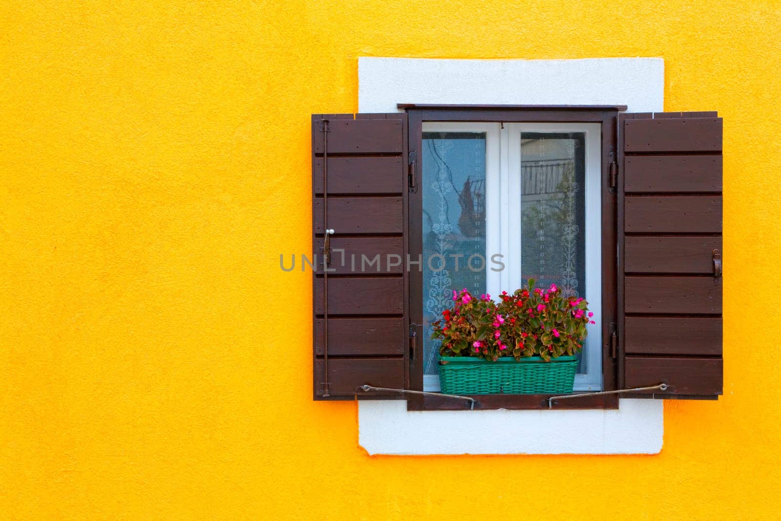 Image of a window with shudders and decorated with flower box