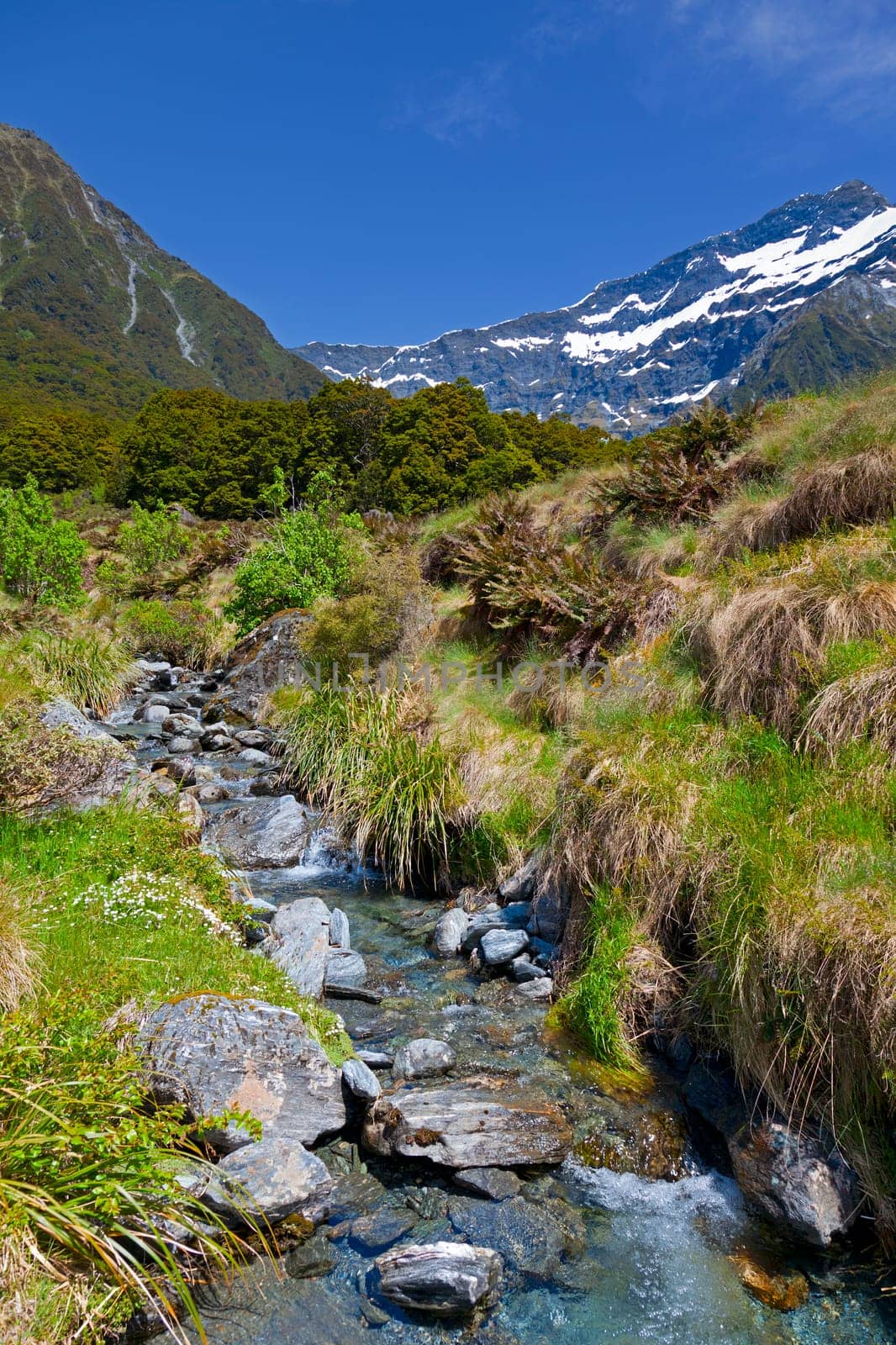 Mountain stream with snow capped mountains in the background in New Zealand