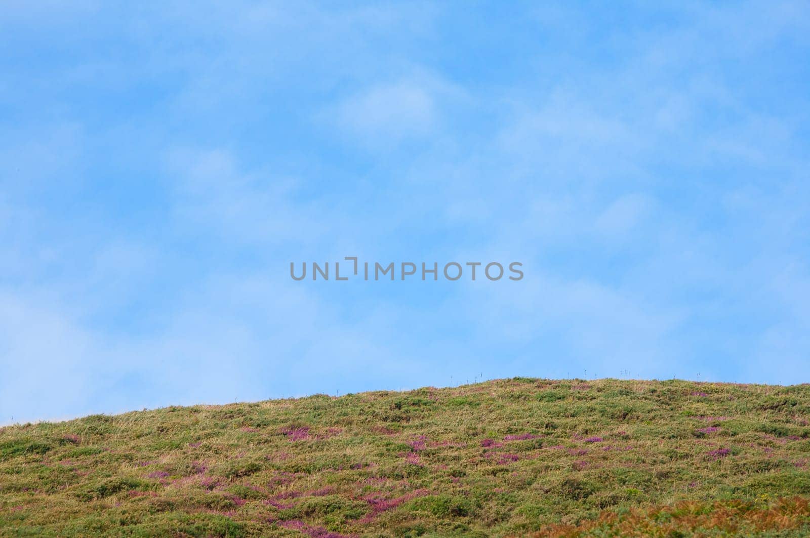 Landscape with a nice blue sky green field