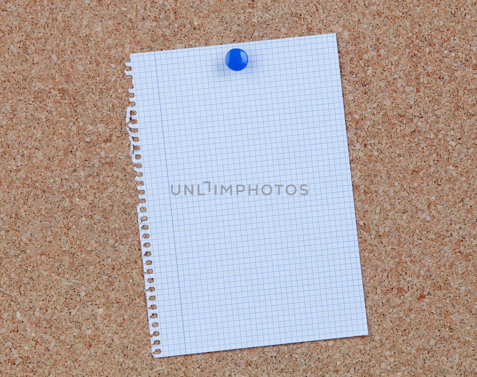 Cork bulletin board with blank paper hanging