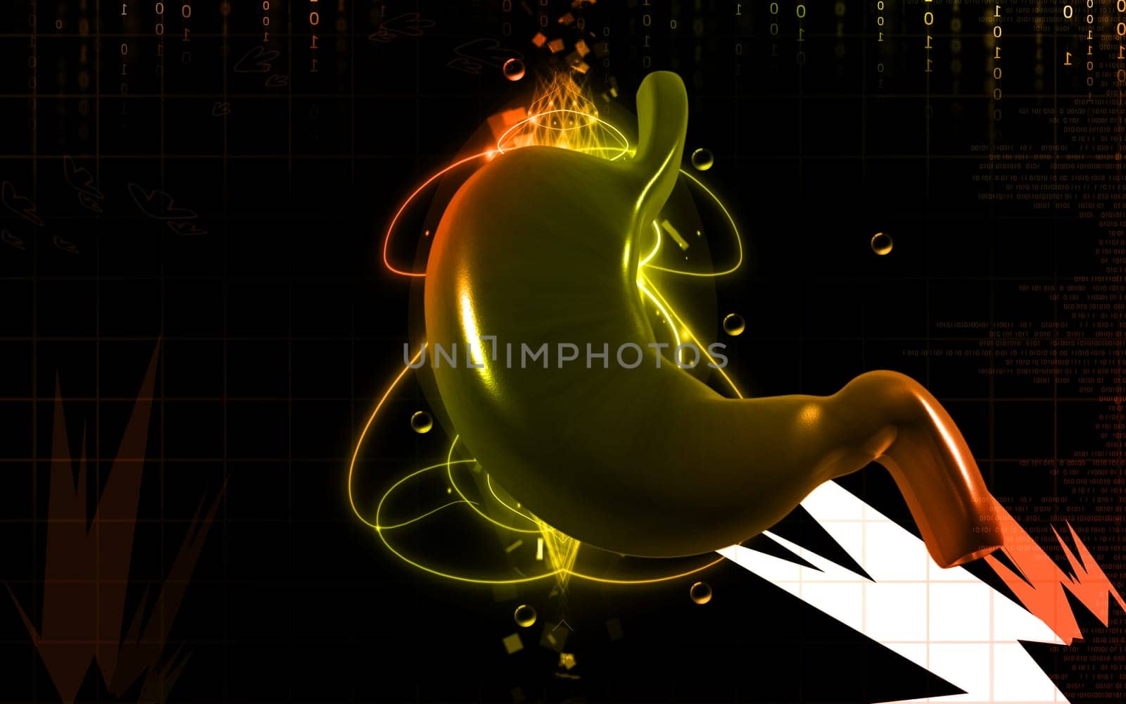 Digital illustration of stomach in colour background
