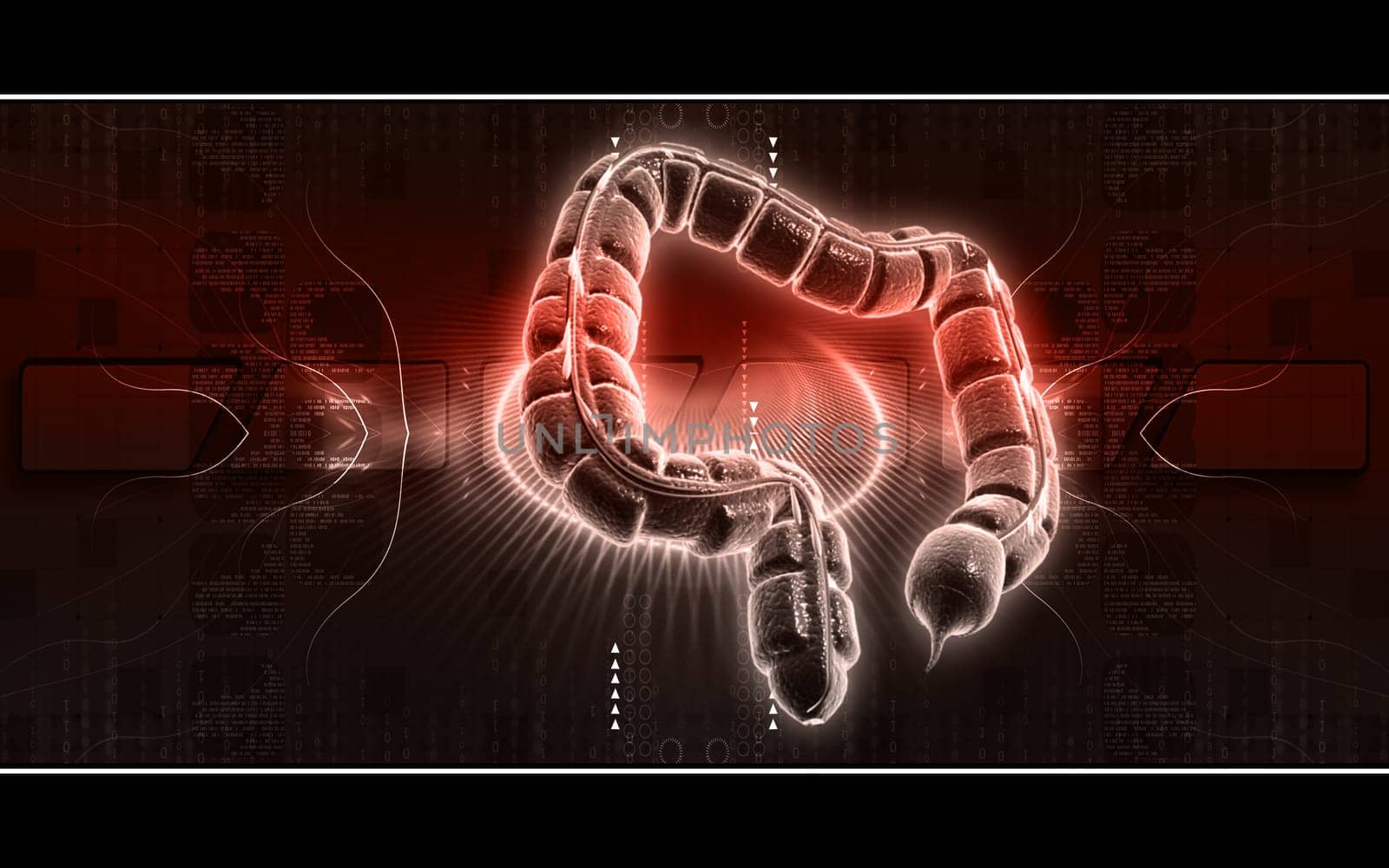Digital illustration of large intestine in colour background