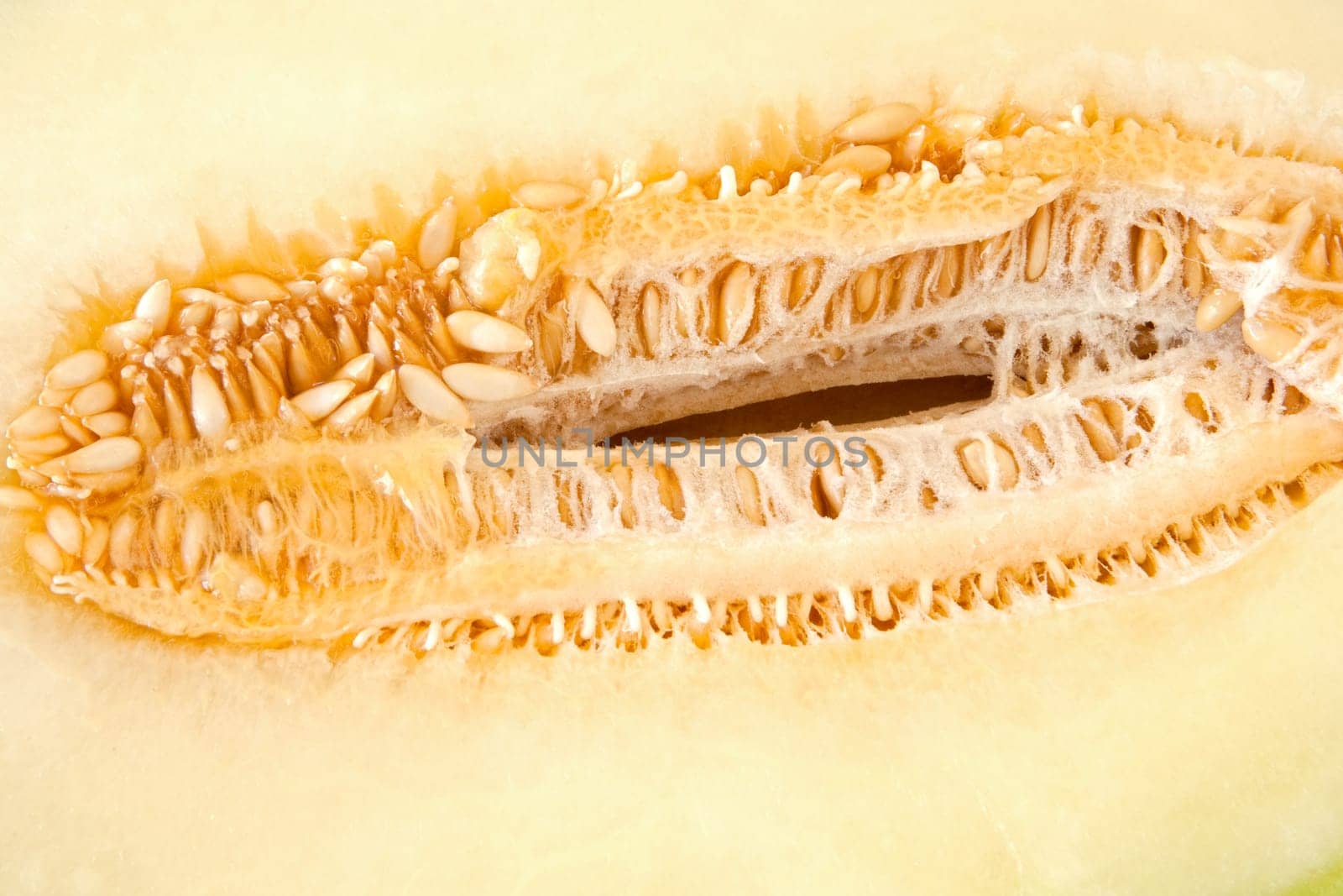 Macro of a melon with orange seeds