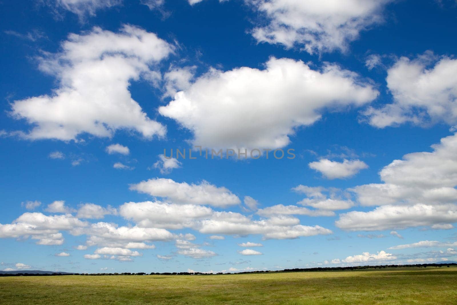 Landscape with a beautiful blue cloudy sky
