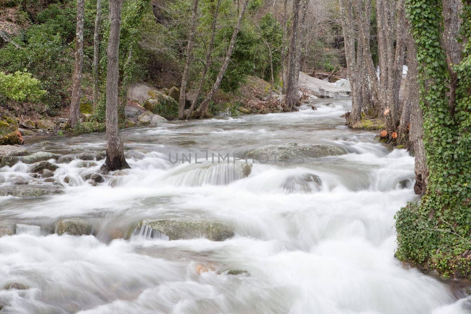 Beautiful landscape with water torrent in middle of the forest