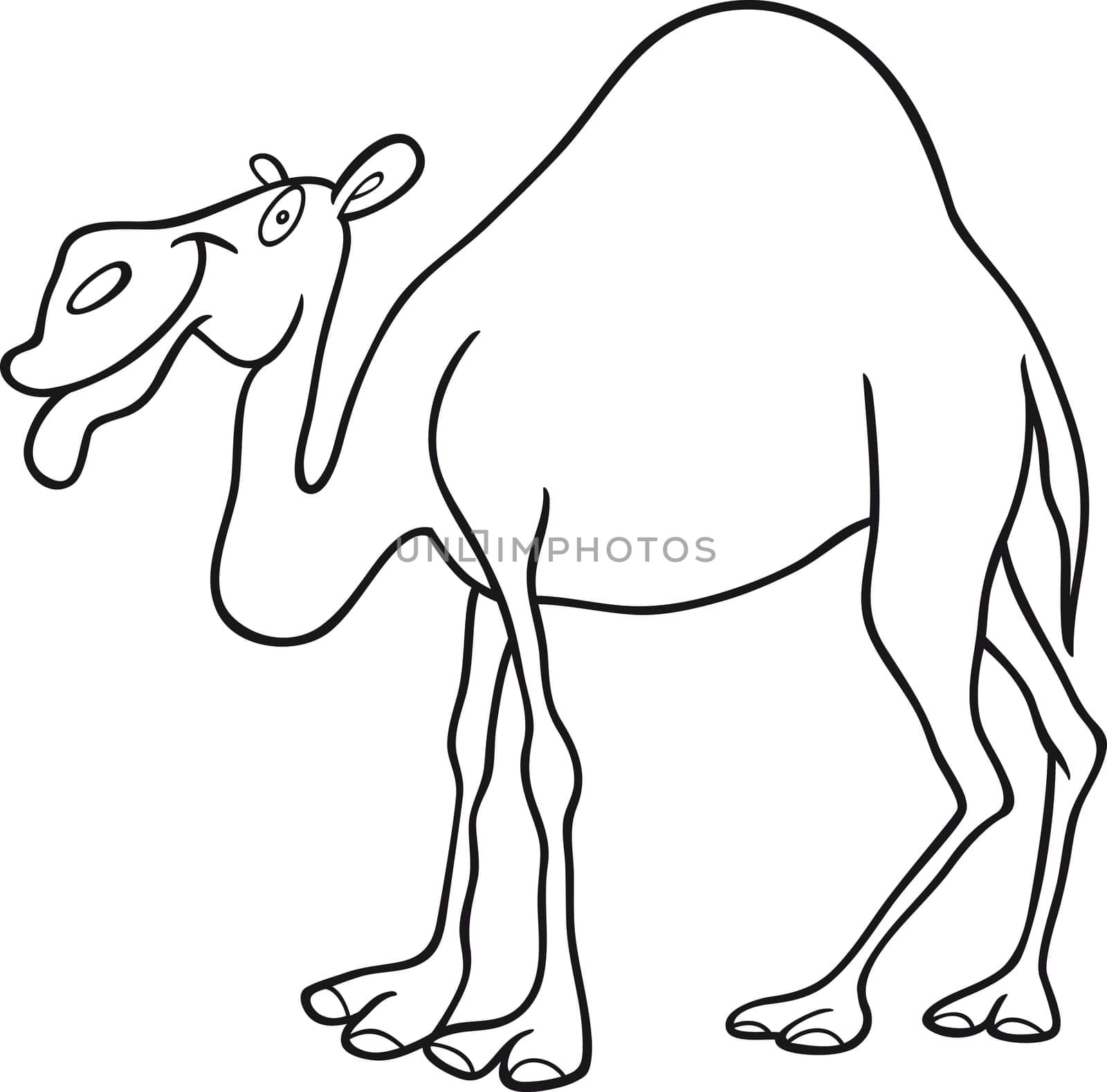 cartoon illustration of dromedary camel for coloring book