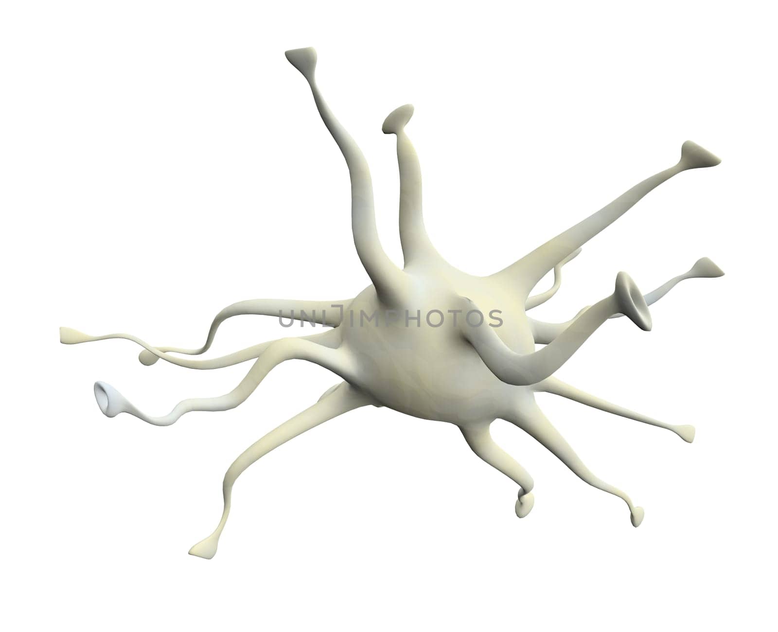 nerve cell