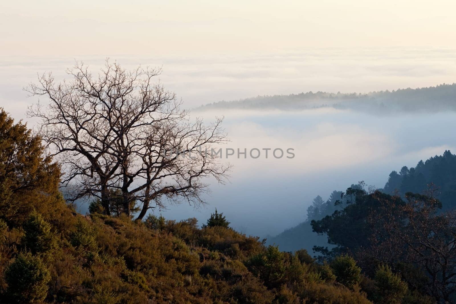 Beautiful view of a sea of clouds on the mountain