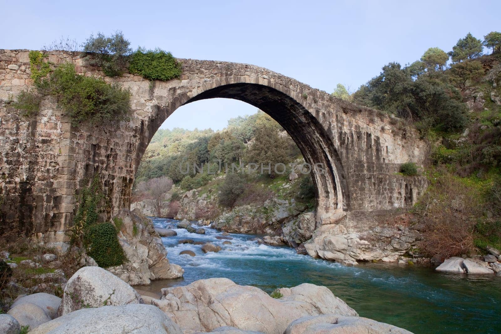 Big bridge with waterfall and green trees