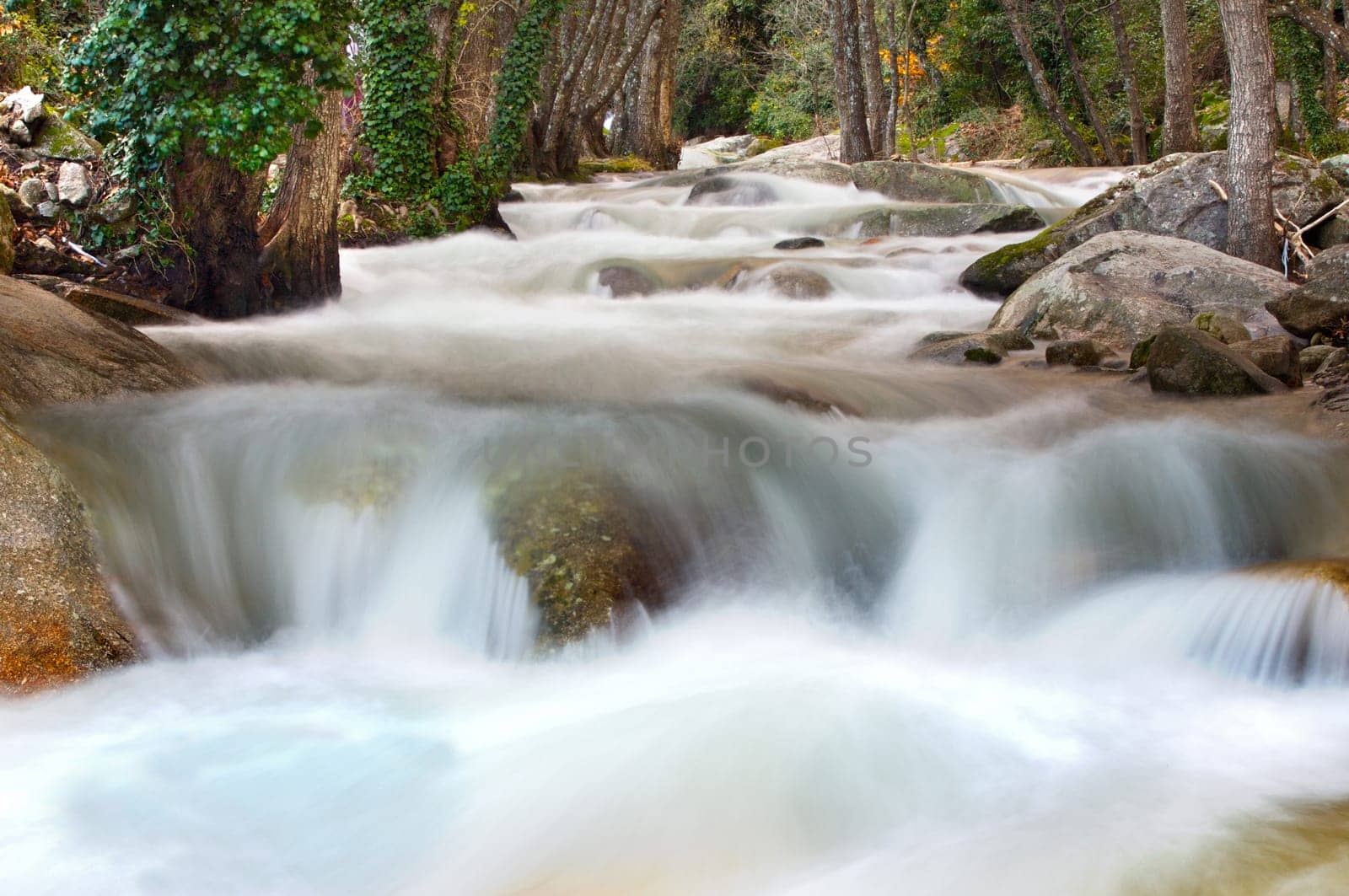 Beautiful landscape with water torrent in middle of the forest