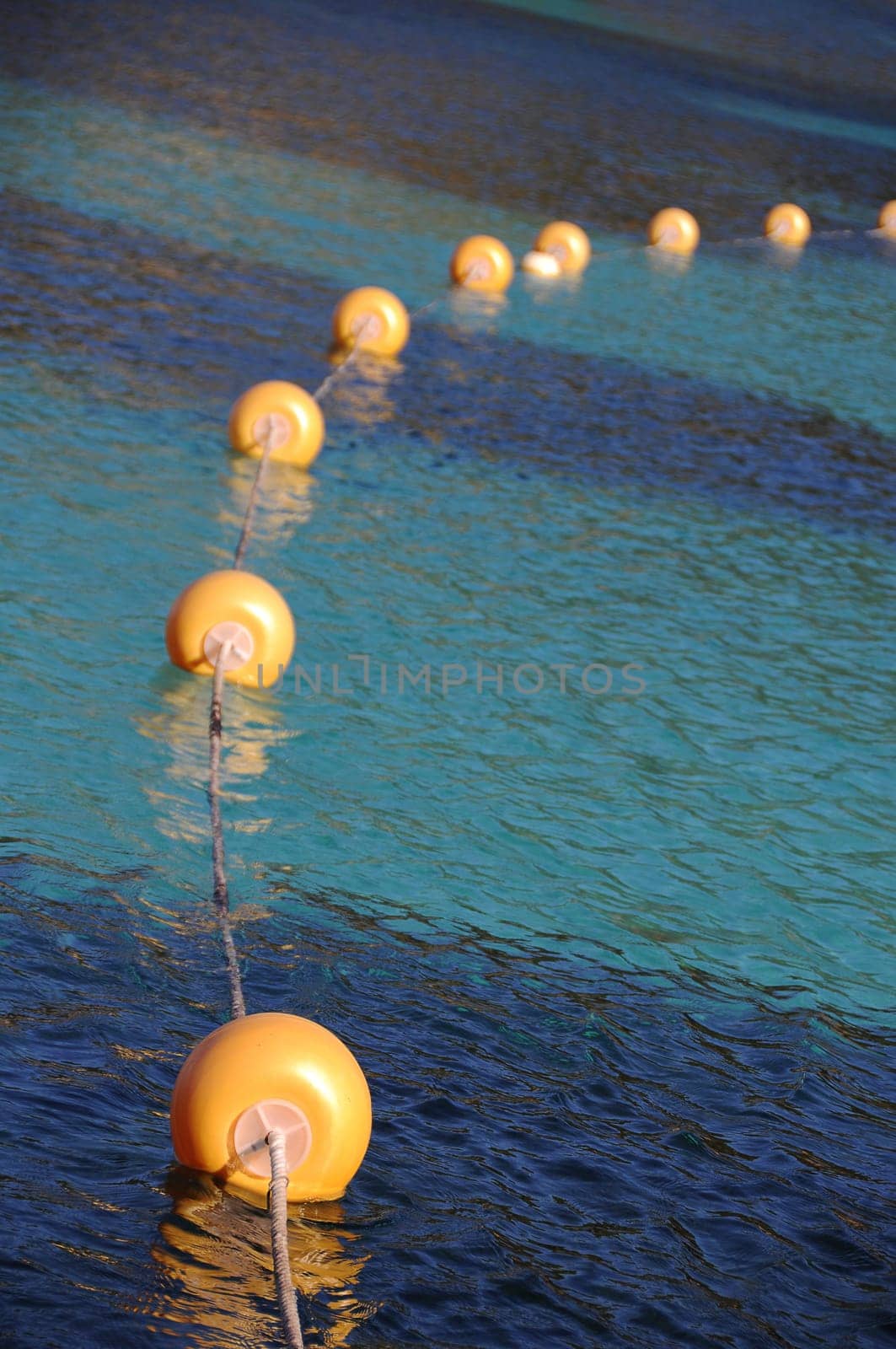 Floating buoys