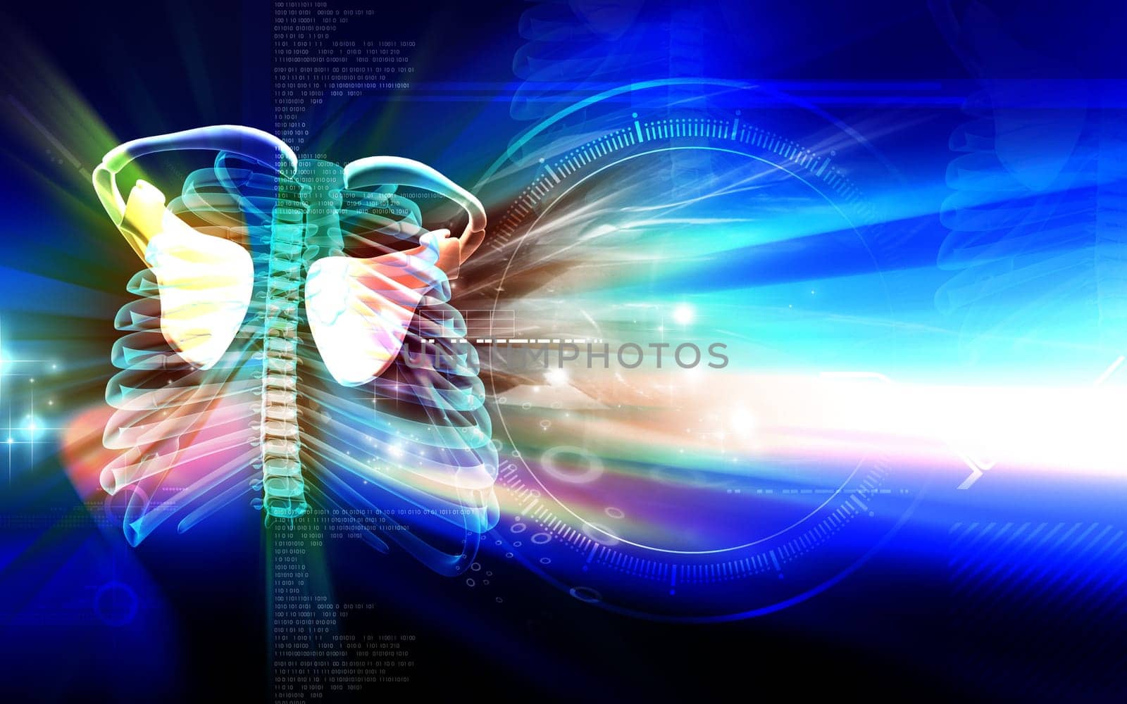 Digital illustration of collar bone in colour background