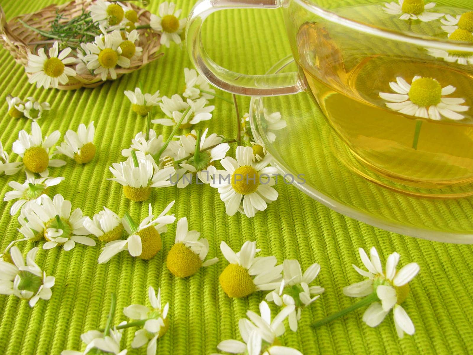 Chamomile flower tea