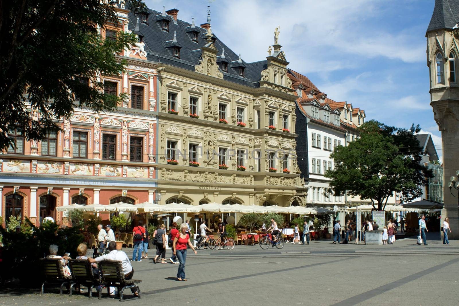 Townhouses at the fish market in Erfurt