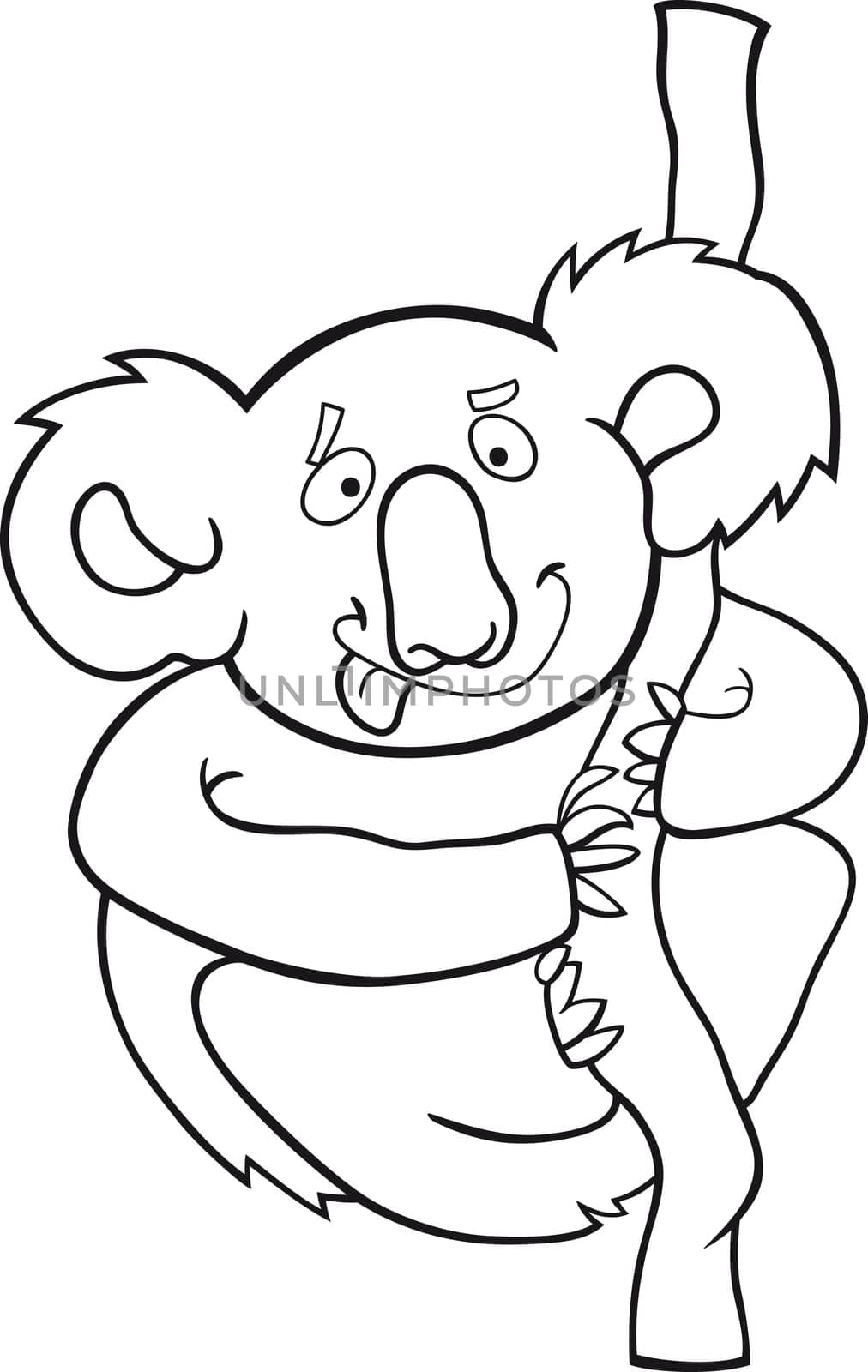 cartoon illustration of australian koala for coloring book