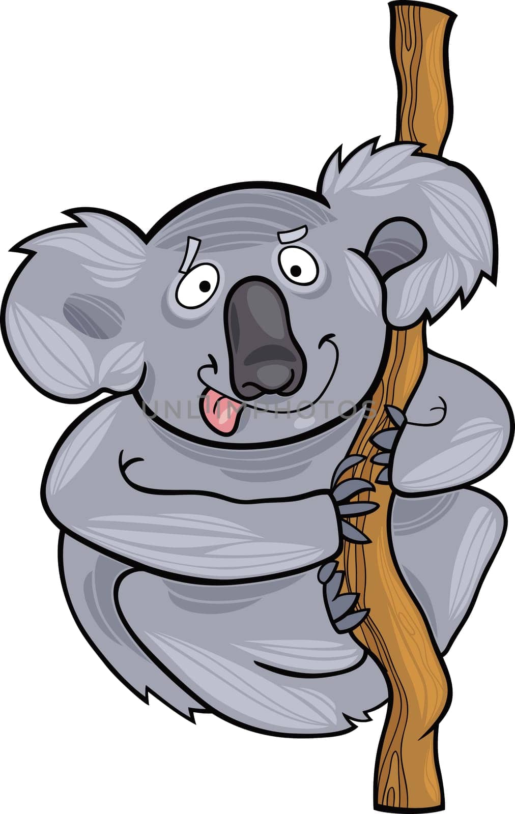 cartoon illustration of funny australian koala