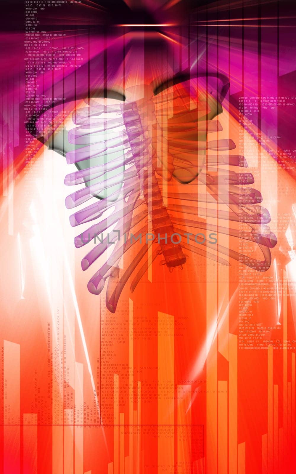 Digital illustration of collar bone in colour background