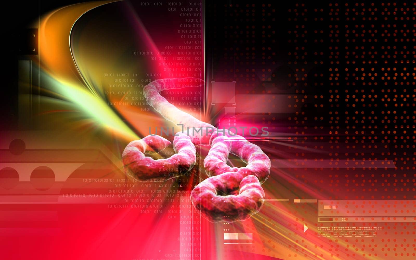Digital illustration of Ebola virus in colour background