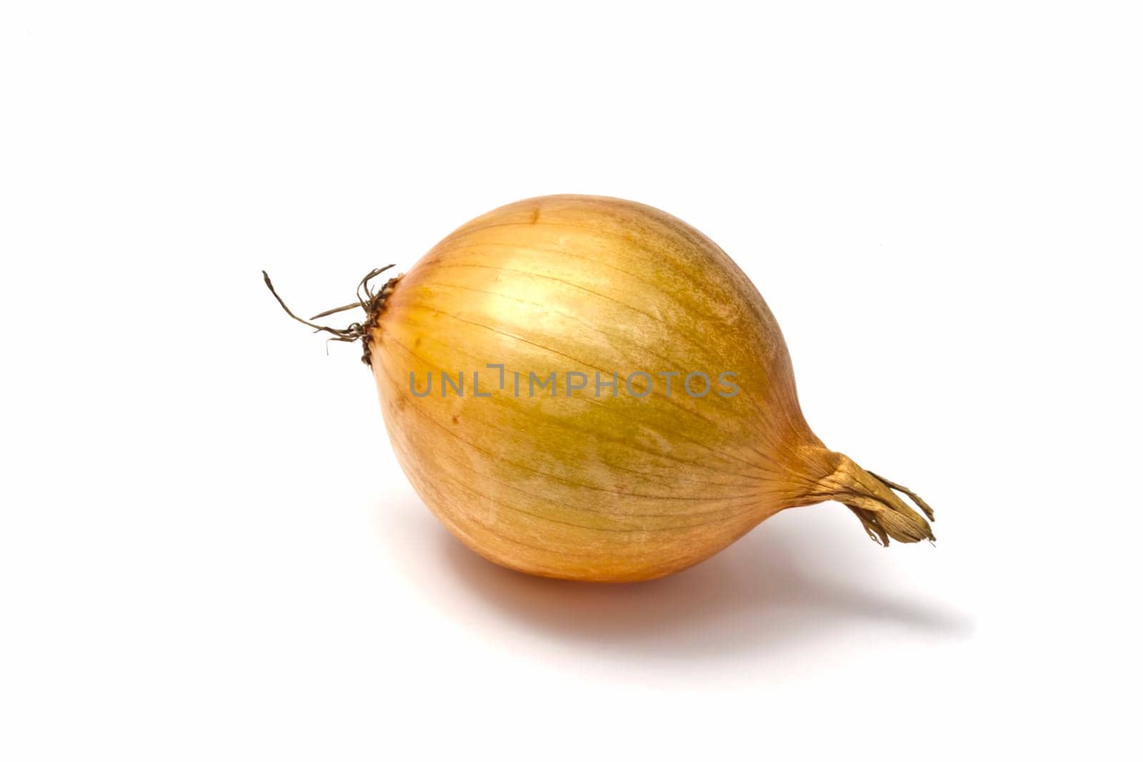 Onion isolated on white background
