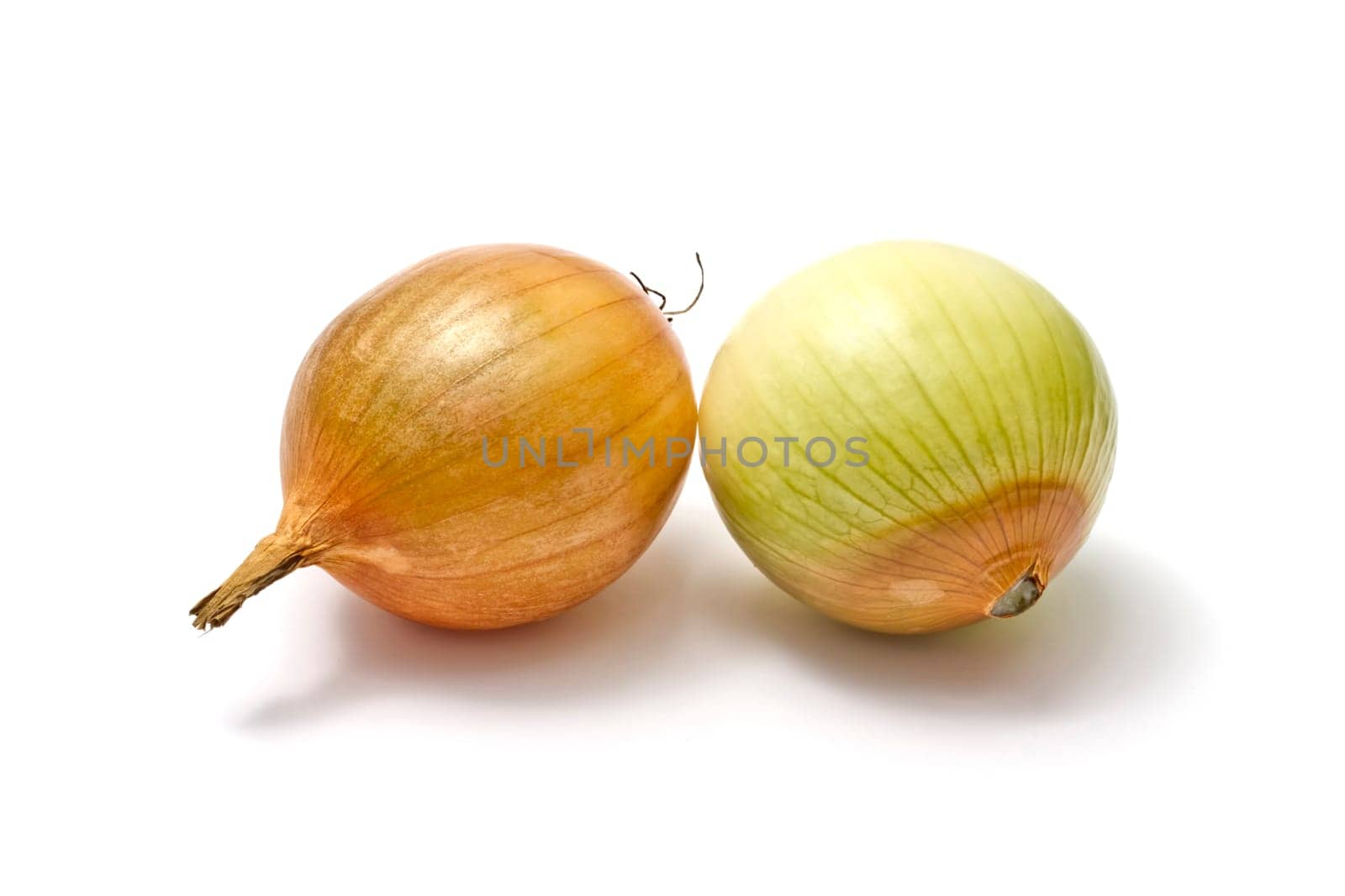 Onion isolated on white background