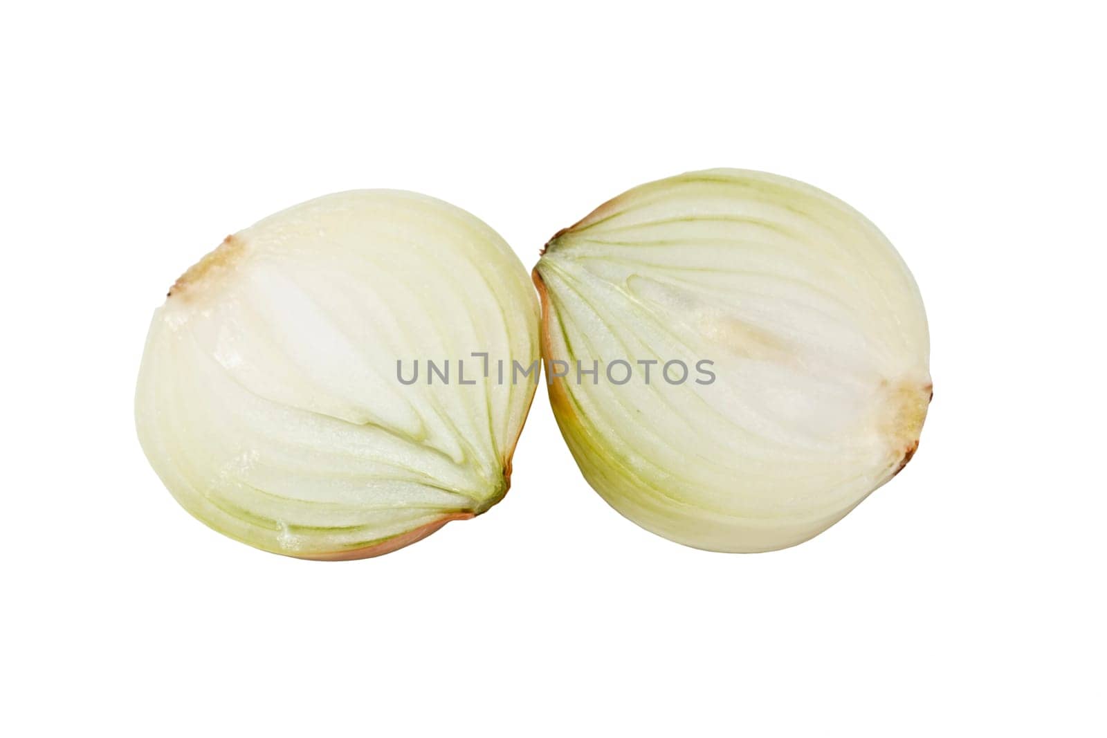 Onion isolated on white background