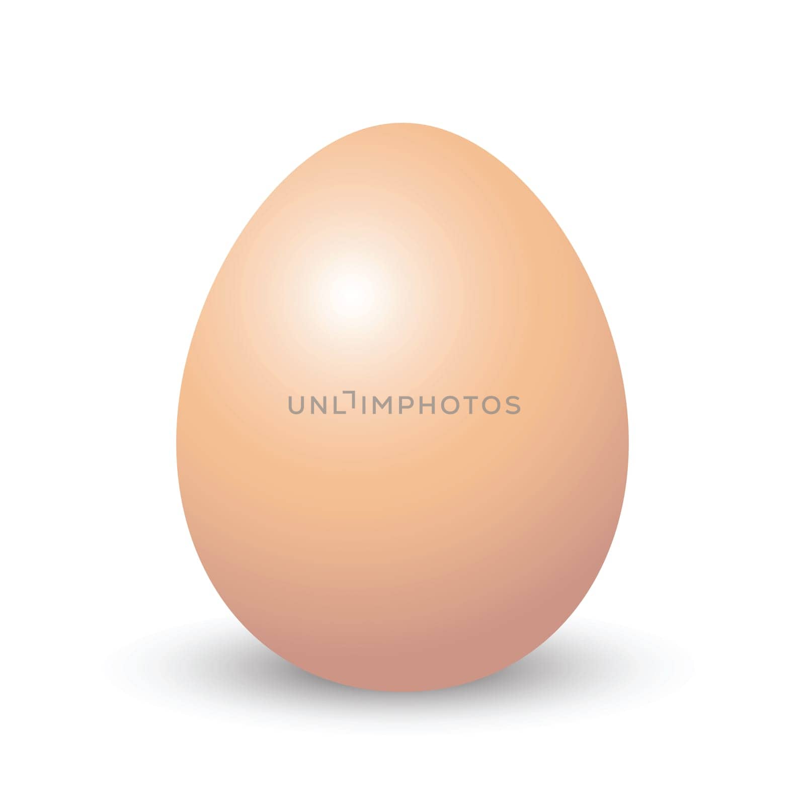 isolated brown egg, realistic illustration.