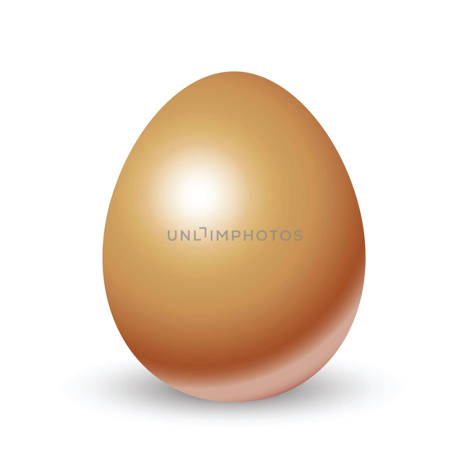 bronze egg, vector illustrations.