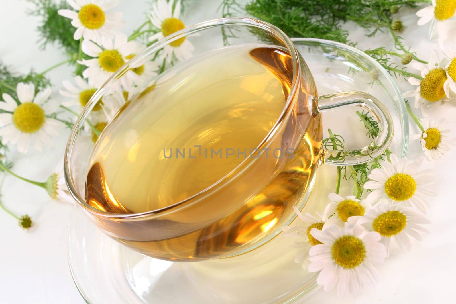 a cup of chamomile tea with fresh flowers