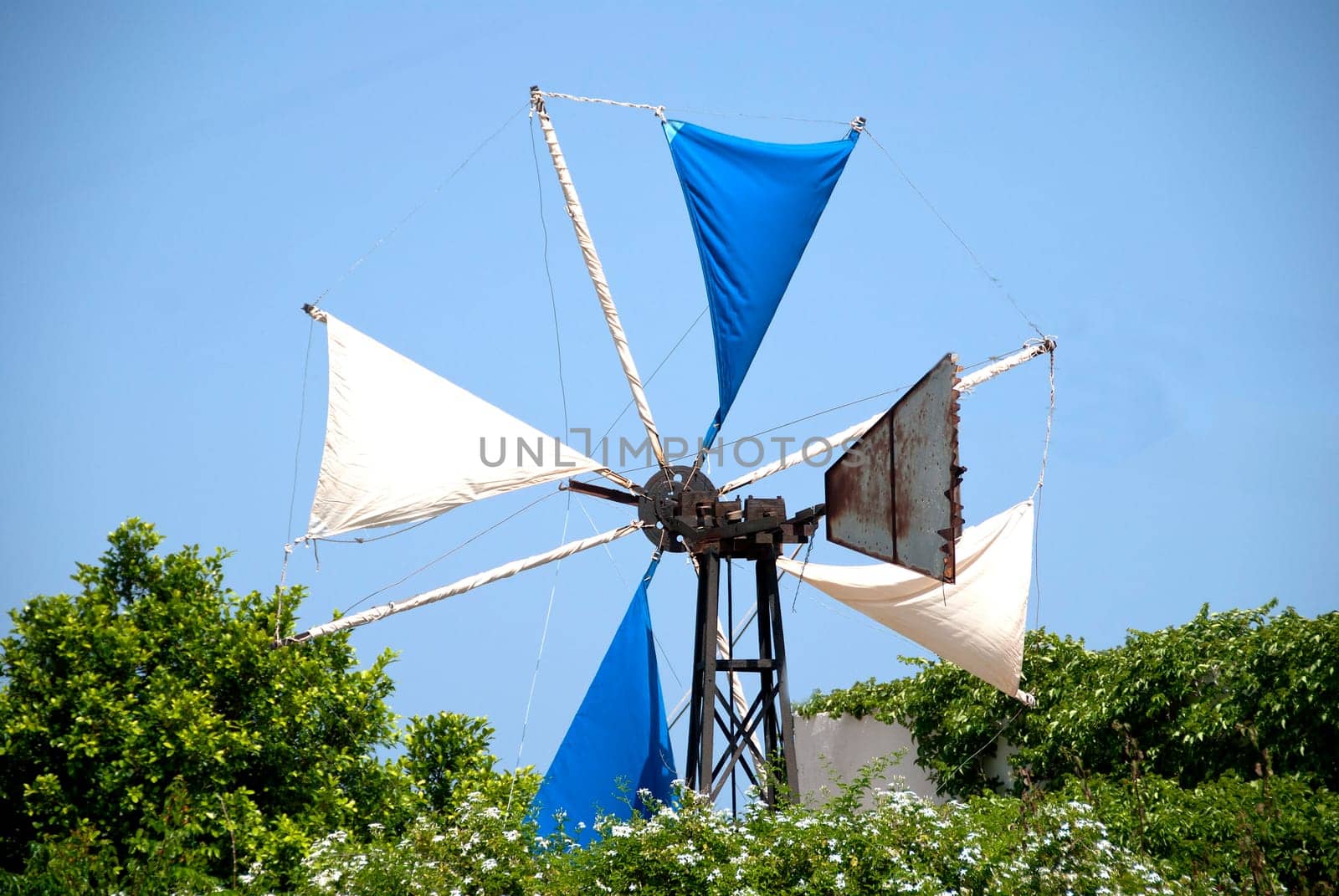 The Sails of a Greek Windmill surrounded by Jasmine Flowers under a blue summer sky