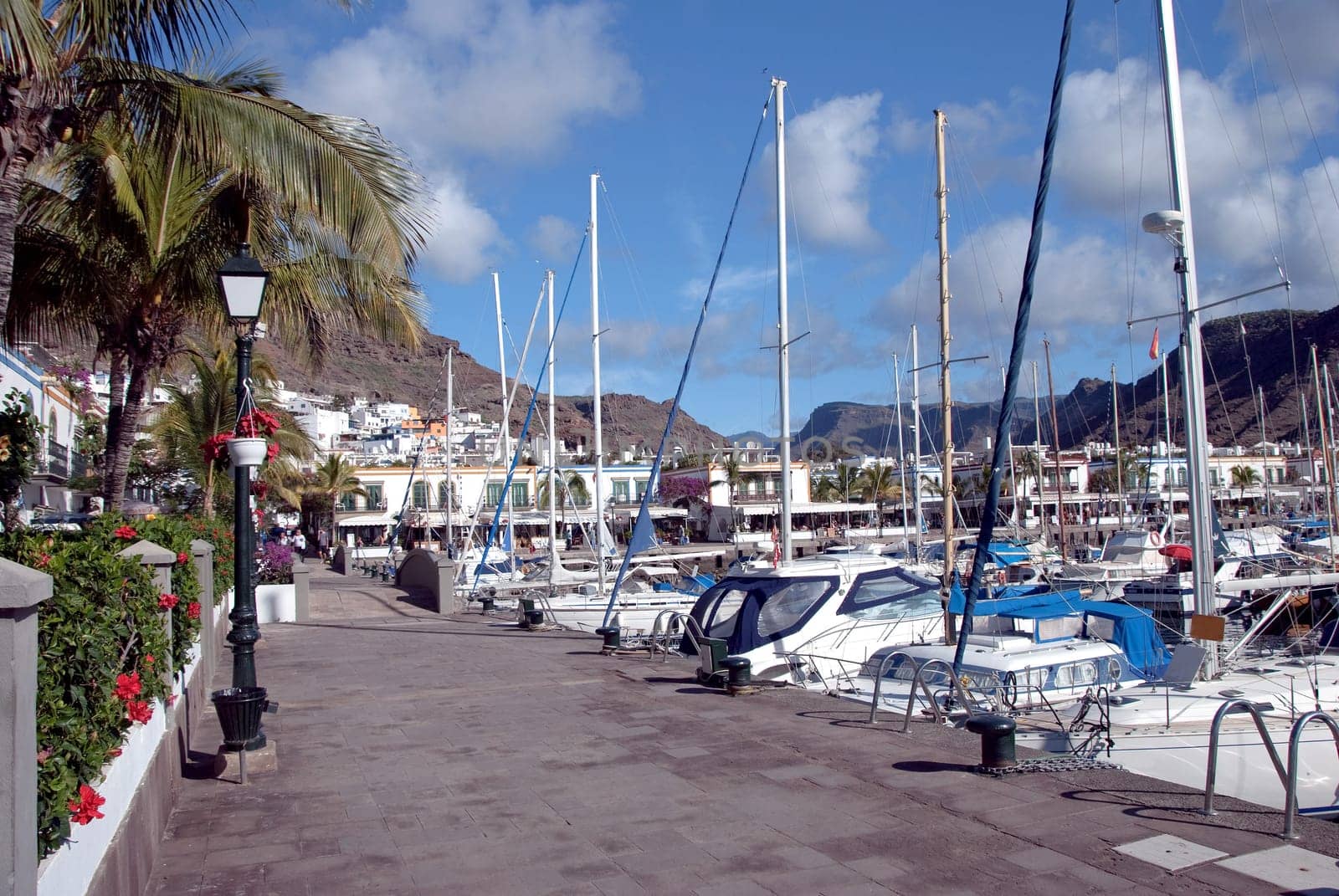 The Busy Harbour of Puerto de Mogan in Gran Canaria with Hibiscus Flowers Poinsettia and Palm Tree on Quayside
