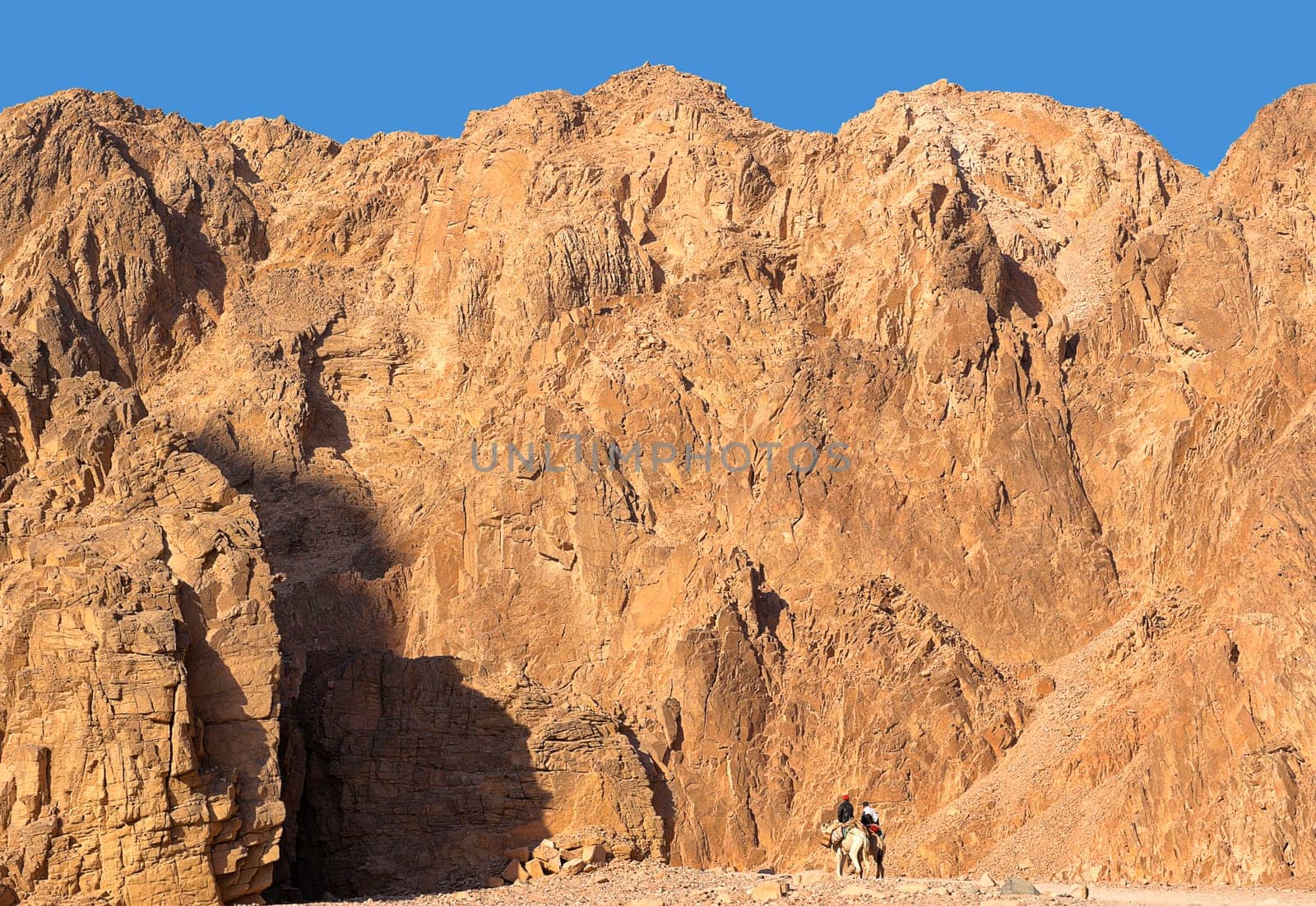 Wadi Qnai