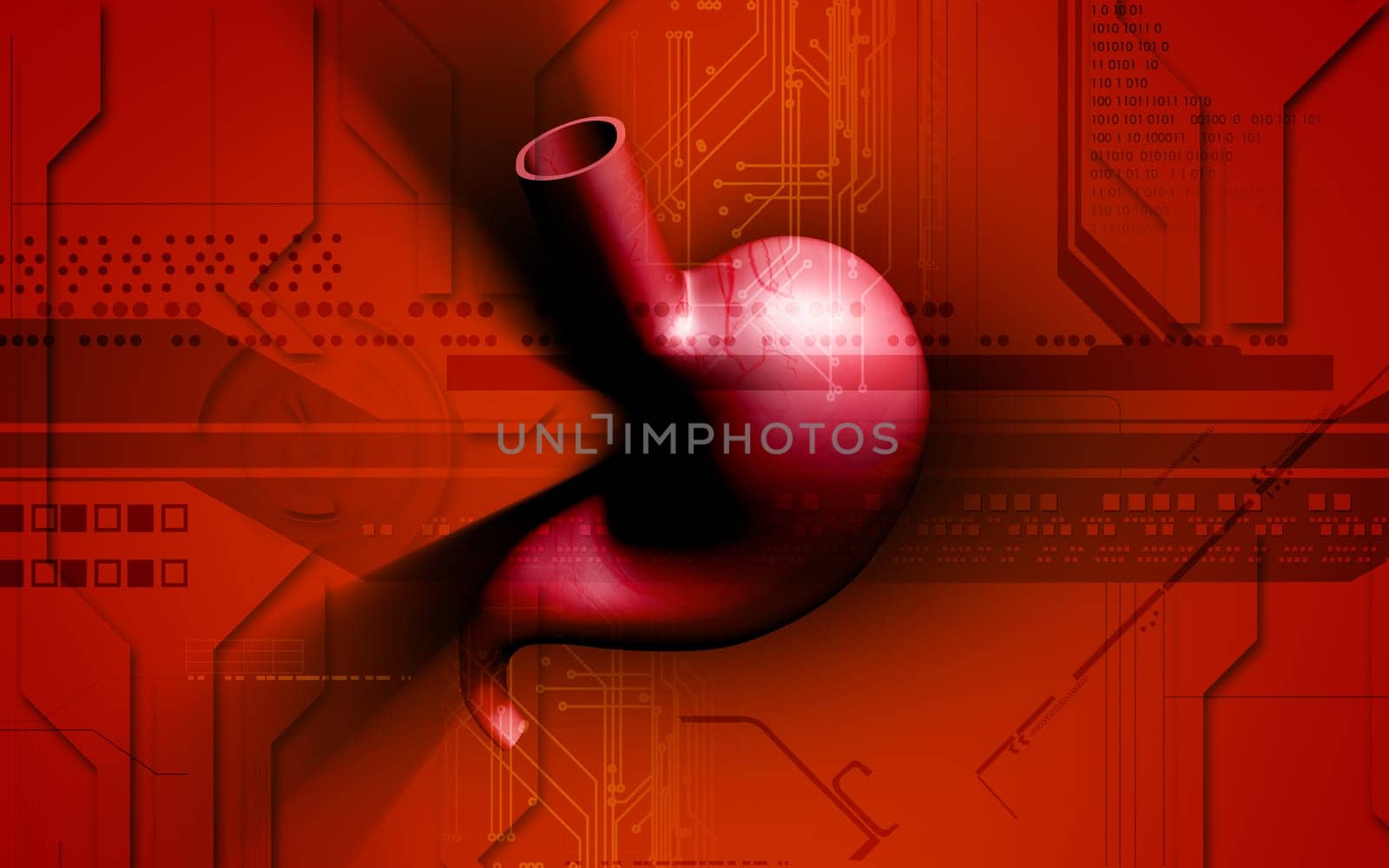 Digital illustration of stomach in colour background