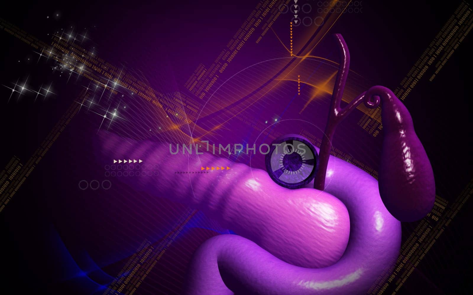 Digital illustration of pancreas in colour background