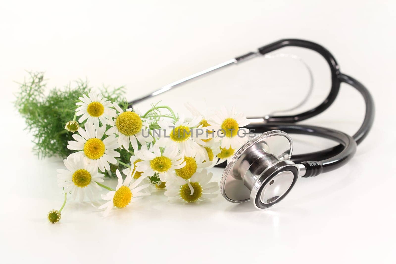 Stethoscope and chamomile against white background