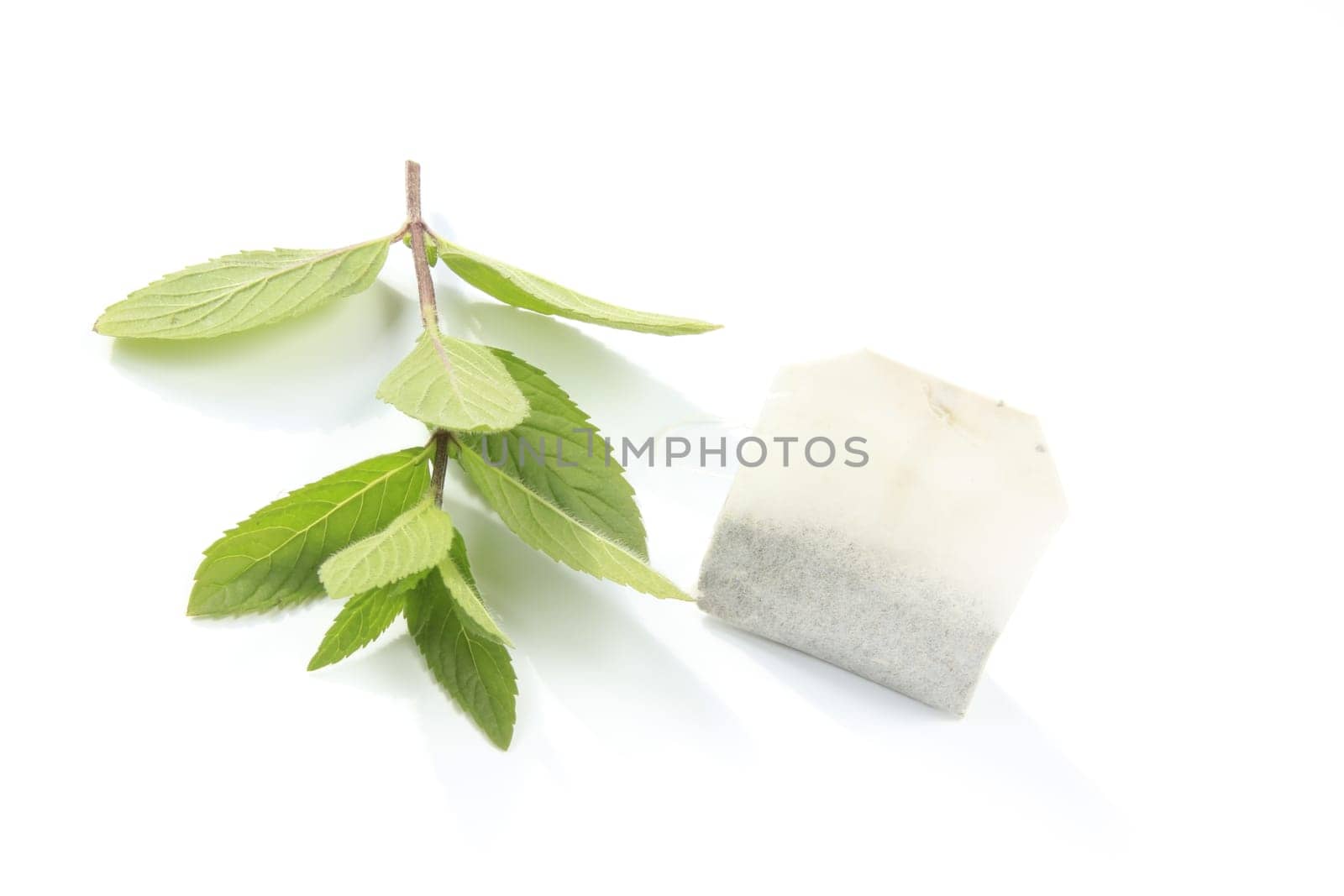 Peppermint sprigs with tea bags