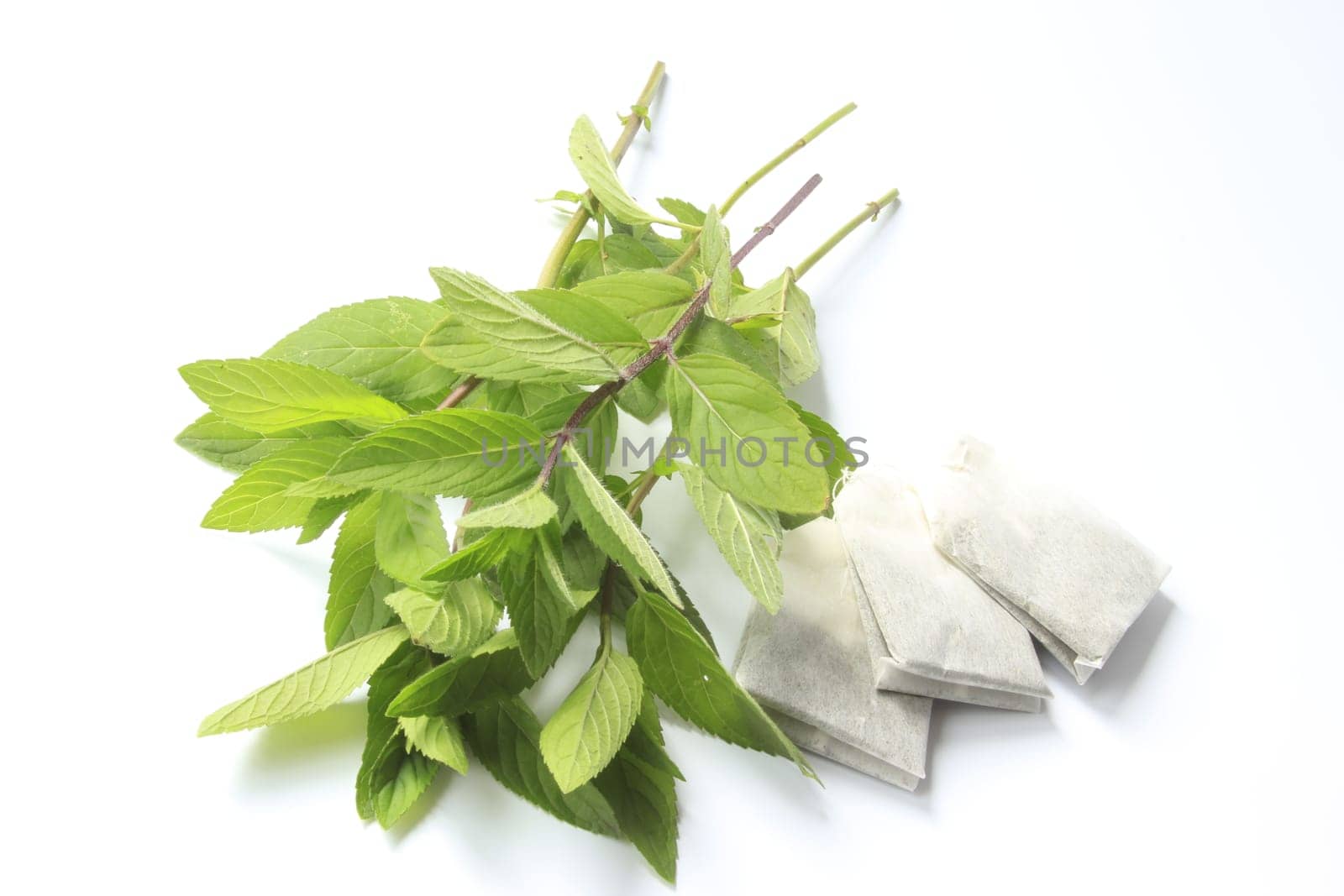 Peppermint sprigs with tea bags