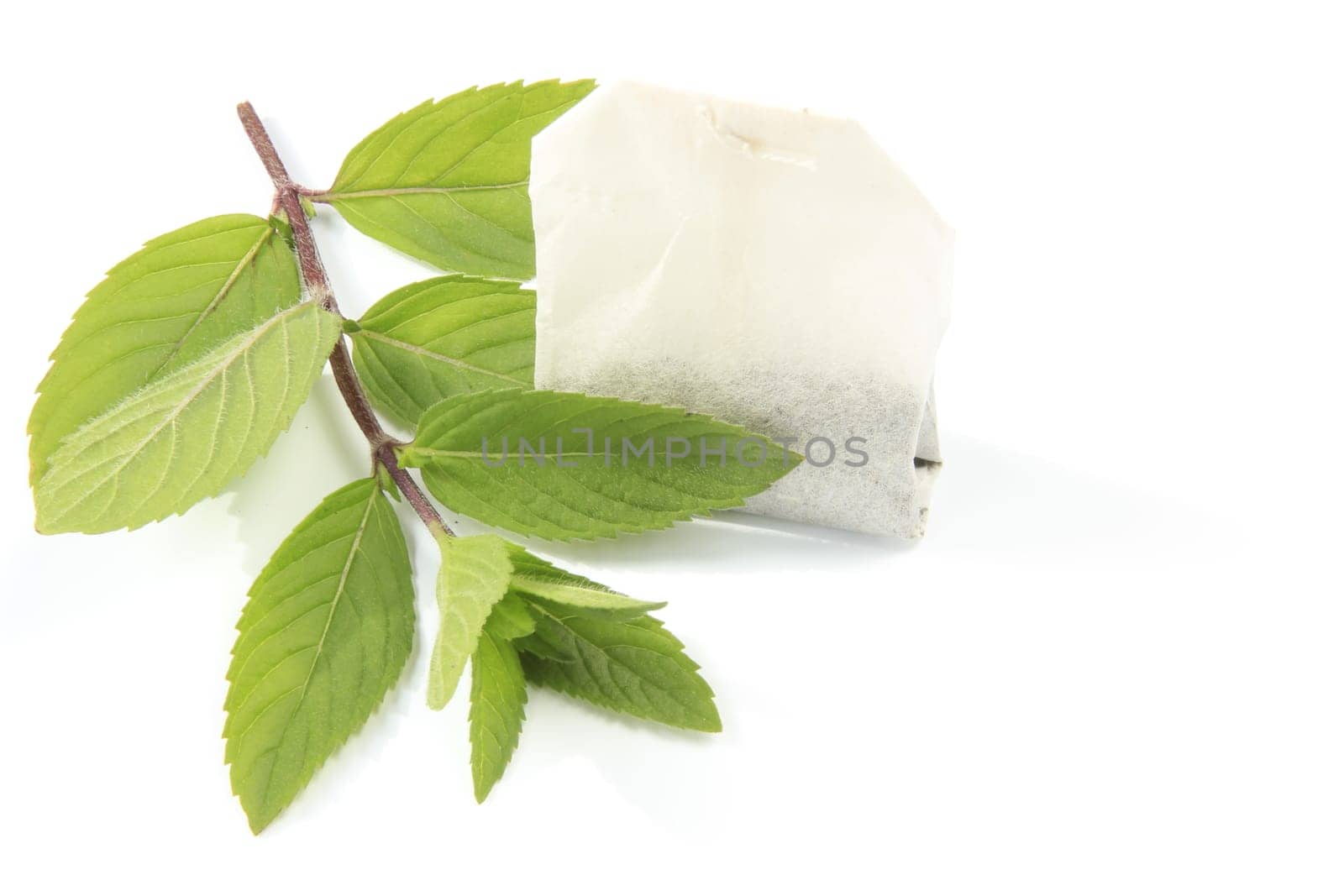 Peppermint sprigs with tea bags