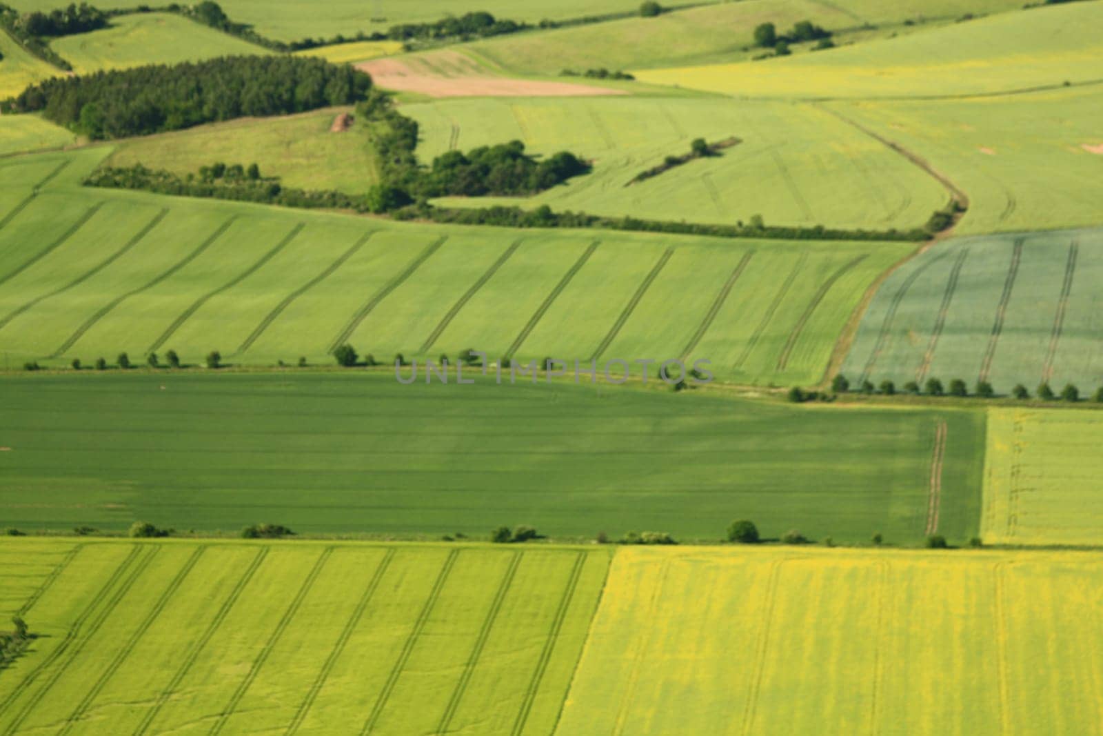 Aerial view of partly flowering arable land and rapeseed fields