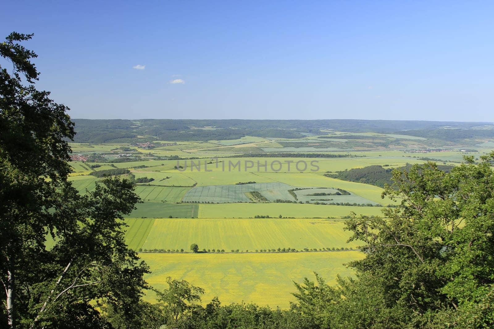 Aerial view of partly flowering arable land and rapeseed fields