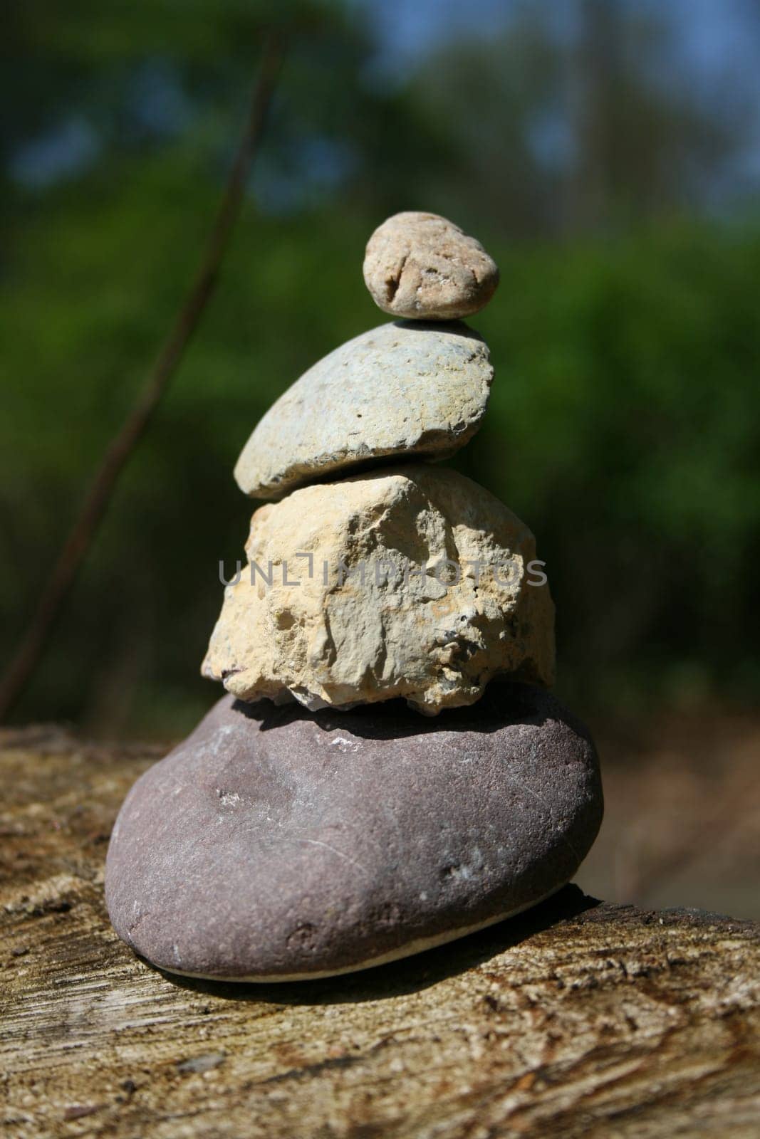 Balance
