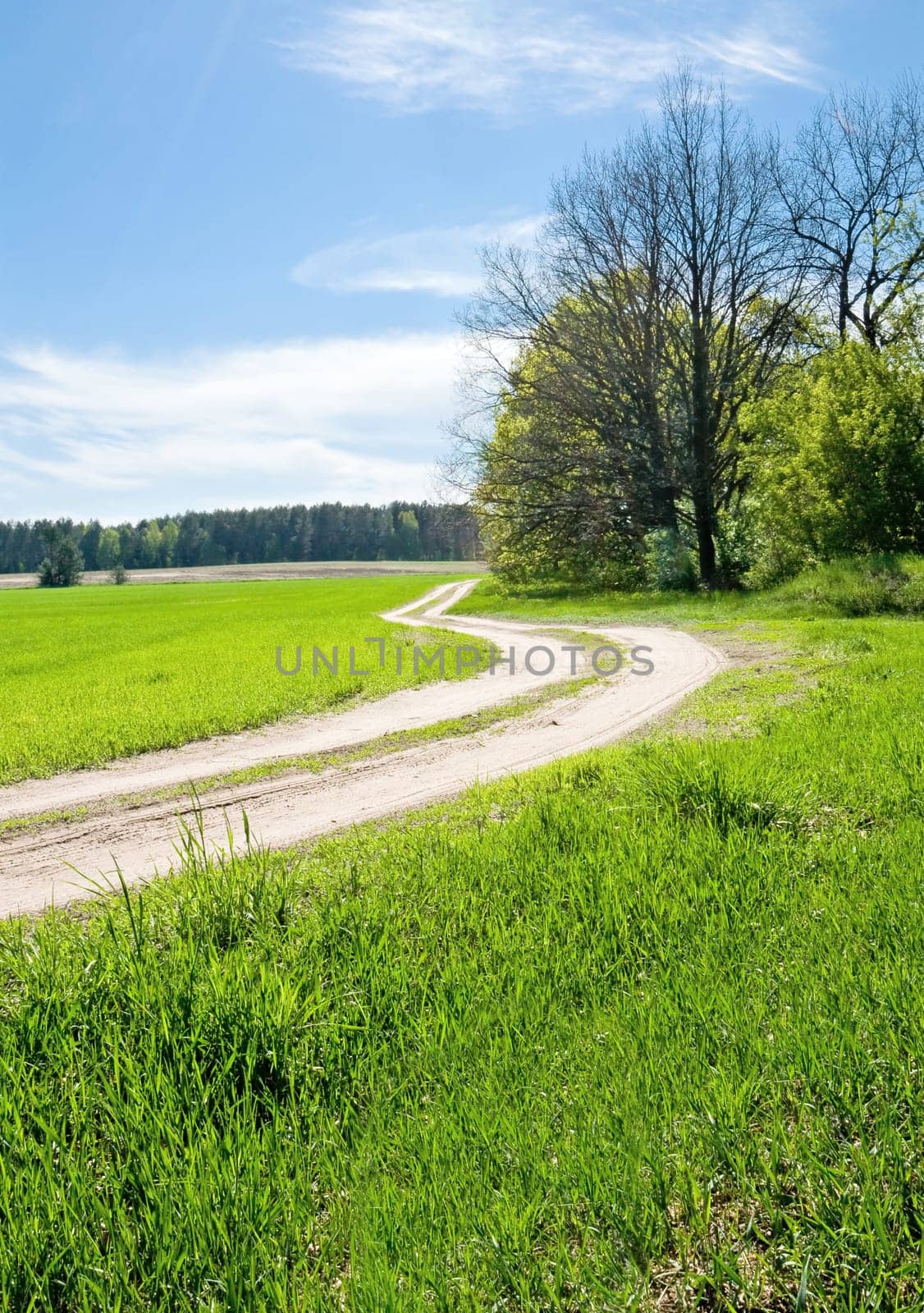 Rural road passes in the field