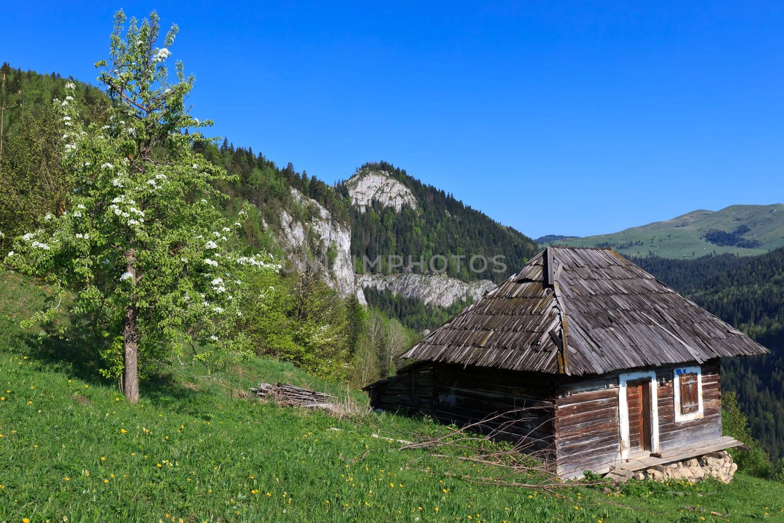 a mountain spring landscape with rustic home