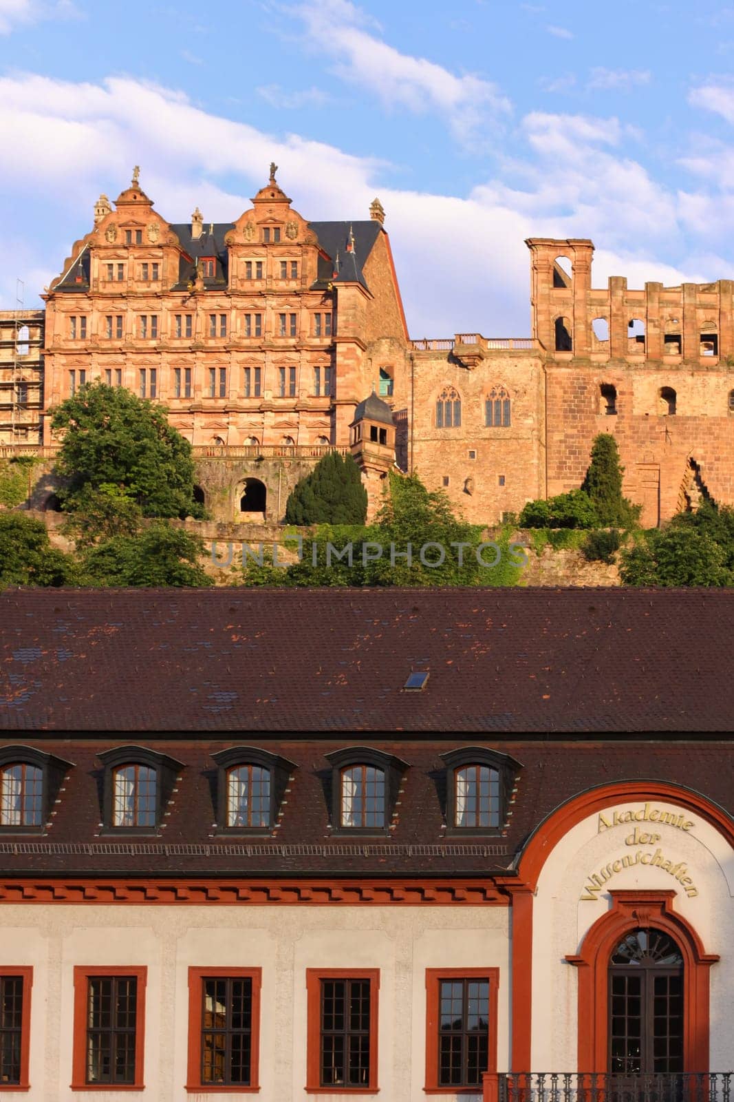 Heidelberg Academy of Sciences and Humanities